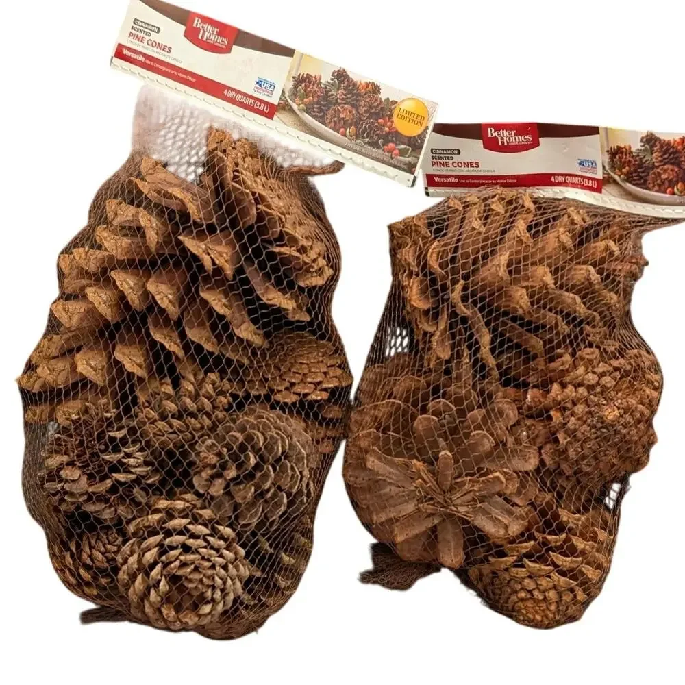 Two Pack of Pinecones Christmas/Other